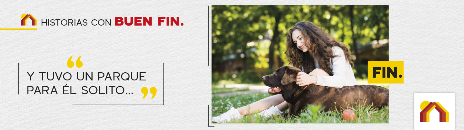 Buen Fin versión escritorio